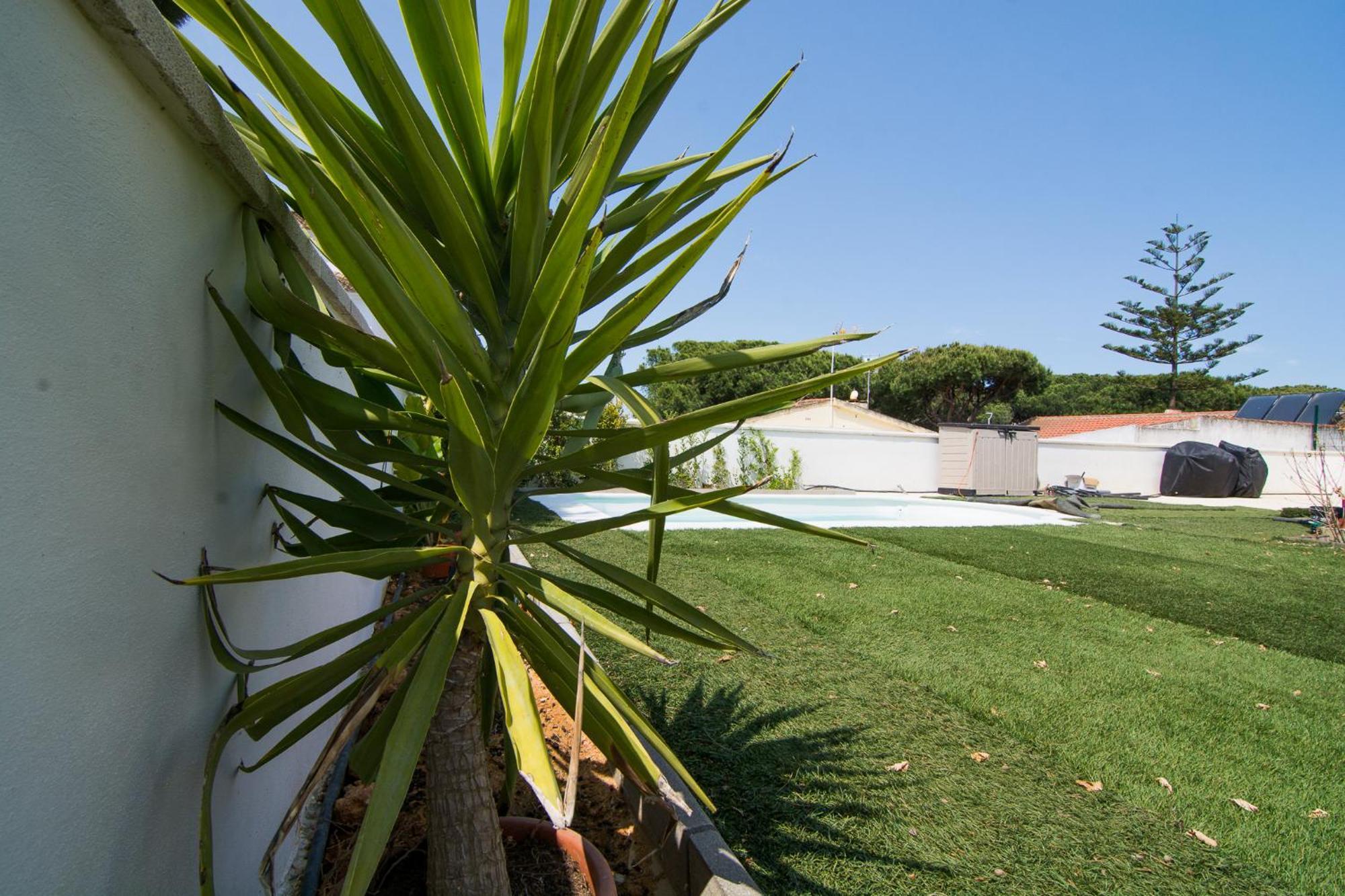Chalet Individual En El Rompido Urb Urverosa Exterior photo